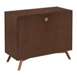 Classic Mid-Century Modern 2-Door Cinnamon Brown Wood Accent Chest