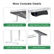 Electric Power Adjustable Height Standing Desk In White
