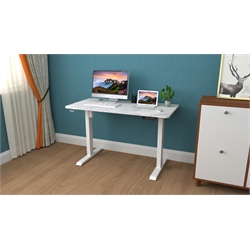 Standing Desk