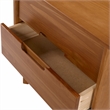 Allora Mid Century Modern Wood 2 Drawer Nightstand in Caramel