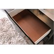 Allora 2-Drawer Mid-Century Solid Wood/Wood Veneer/MDF Nightstand in Black