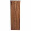 Allora Mid-Century Modern Wood Bedroom Chest in Brown