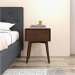Allora Mid-Century Modern Wood Night Stand in Brown Walnut