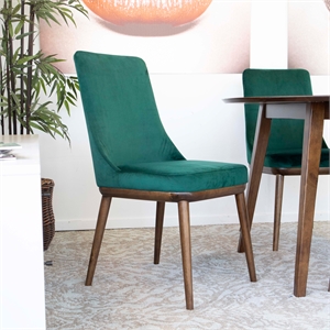 Allora Mid Century Modern Dining Chair in Green (Set of 2)
