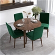 Allora 5-Piece Mid-Century Dining Set with 4 Velvet Dining Chairs in Green