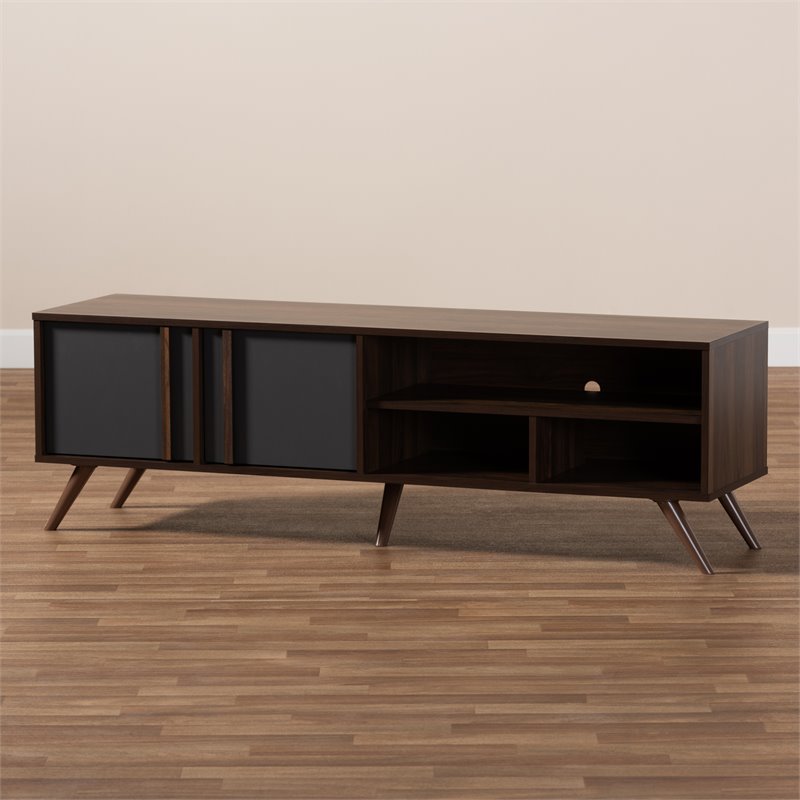 Allora Modern 2-Door Wood TV Stand for TVs up to 50