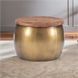 Allora Modern Contemporary Brass Finish Metal Drum with Storage