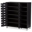 Allora 2 Door Shoe Cabinet in Espresso