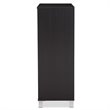 Allora 2 Door Shoe Cabinet in Espresso