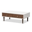 Allora Modern Wood Top Storage Coffee Table in White and Brown