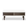 Allora Modern Wood Top Storage Coffee Table in White and Brown
