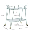Allora Mid-Century Modern Metal and Mirorred Bar Cart in Mint Green