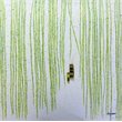 Bromi Design Vines Hand Painted Canvas Wall Art