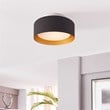 Lynch 10 in. 1-Light Black and Gold Flush Mount Ceiling Fixture