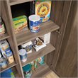 Maddie Home Traditional Engineered Wood 3-Shelf Storage Cabinet in Salt Oak
