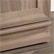 Maddie Home Traditional Engineered Wood 3-Shelf Storage Cabinet in Salt Oak