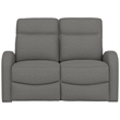 Gray Manual Reclining Loveseat