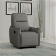Gray Contemporary Manual Recliner