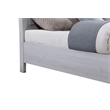 Gray Contemporary King Bed with Storage Drawers