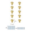 Elegant Decor Cadon 1.2