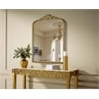 Elegant Decor Naomi Vintage Resin Mirror 33X42 in Antique Brass