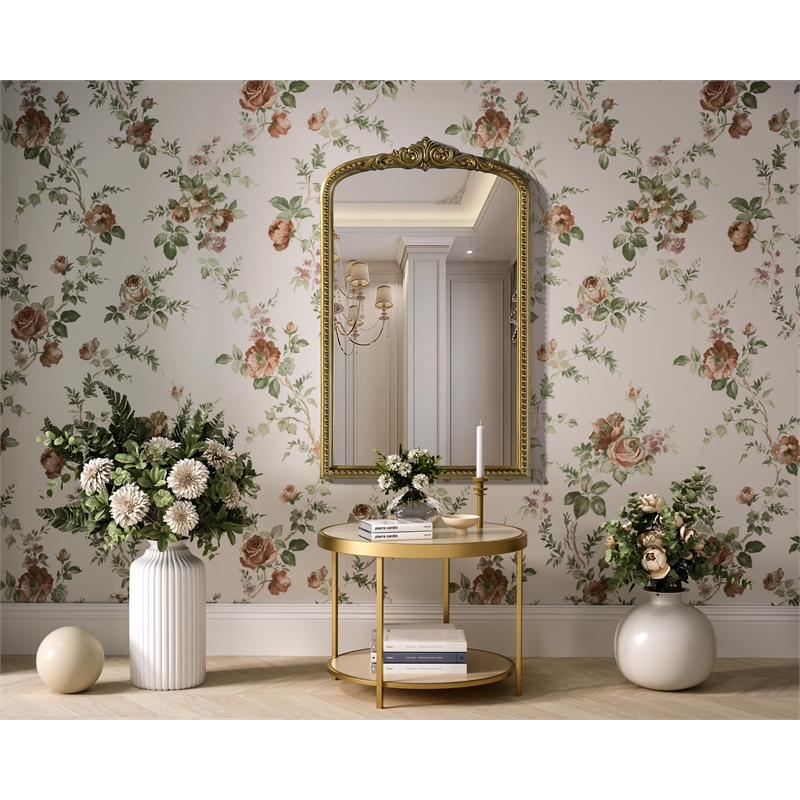Elegant Decor Naomi Vintage Resin Mirror 22X36 in Antique Brass