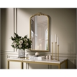 Elegant Decor Naomi Vintage Resin Mirror 24X42 in Antique Brass