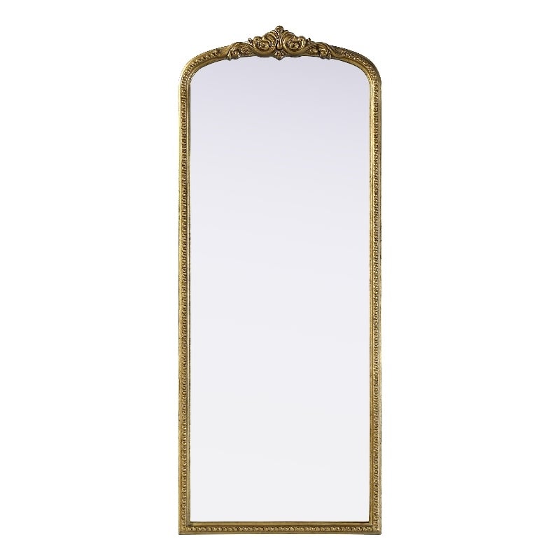 Elegant Decor Naomi Vintage Resin Mirror 24X60 in Antique Brass