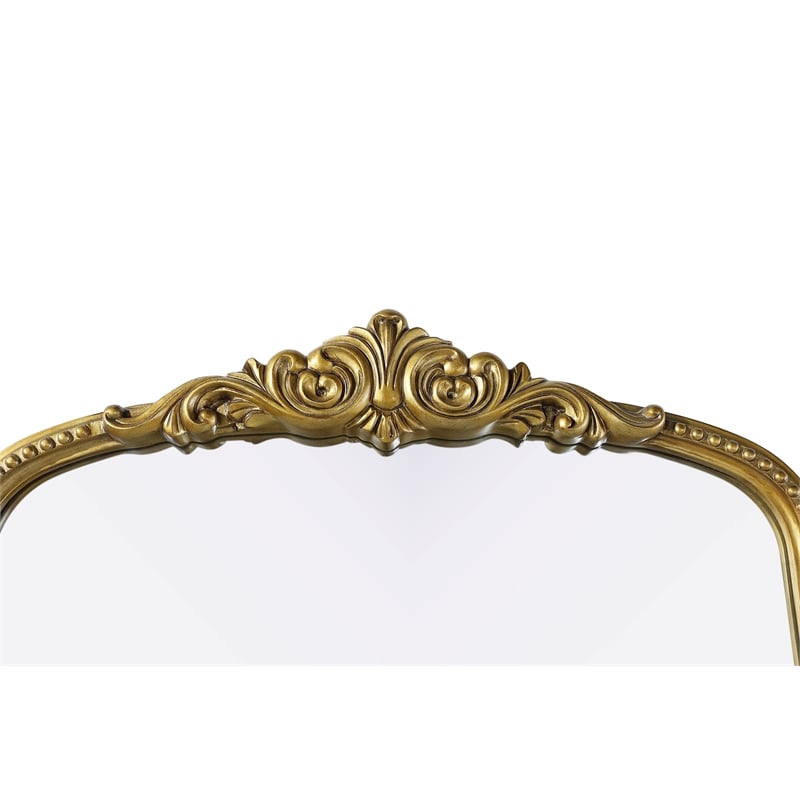 Elegant Decor Naomi Vintage Resin Mirror 30X72 in Antique Brass