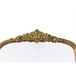 Elegant Decor Naomi Vintage Resin Mirror 30X72 in Antique Brass