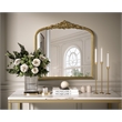 Elegant Decor Naomi Vintage Resin Mirror 36X36 in Antique Brass