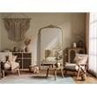 Elegant Decor Naomi Vintage Resin Mirror 36X72 in Antique Brass