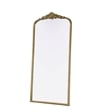 Elegant Decor Naomi Vintage Resin Mirror 36X72 in Antique Brass