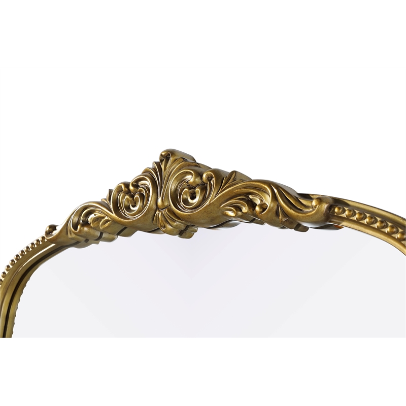 Elegant Decor Naomi Vintage Resin Mirror 36X72 in Antique Brass