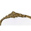 Elegant Decor Naomi Vintage Resin Mirror 36X72 in Antique Brass