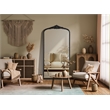 Elegant Decor Naomi Vintage Resin Mirror 36X72 in Vintage Bronze