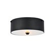 Living District Hazen 2-Light Metal Flush Mount in Flat Black/Frosted White