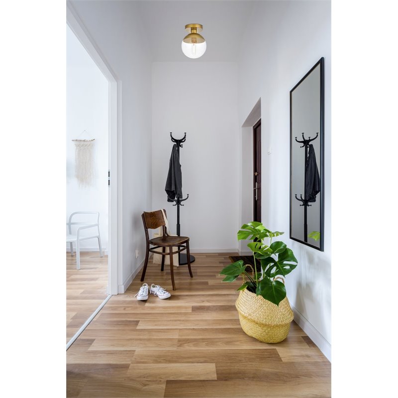 Living District Eclipse 1-Light Glass & Metal Flush Mount in Brass/Clear