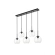 Living District Baxter 5-Light Metal & Glass Pendant in Black/Clear