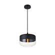 Living District Ashwell 1-Light Metal & Glass Pendant in Black/Clear
