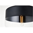Living District Ashwell 1-Light Metal & Glass Pendant in Black/Clear