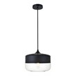 Living District Ashwell 1-Light Metal & Glass Pendant in Black/Clear