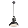 Living District Eamon 1-Light Transitional Metal Pendant in Oil Rubbed Bronze