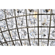 Living District Earlene 3-Light Transitional Metal Pendant in Antique Bronze