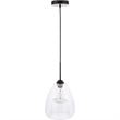 Living District Kason 1-Light Mid-Century Metal Pendant in Black and Clear Glass