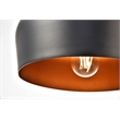 Living District Nora 1 Light Transitional Aluminum Pendant in Black