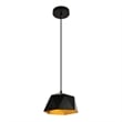 Living District Arden 1-Light Transitional Metal Pendant in Black and Gold