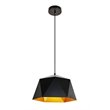 Living District Arden 1-Light Transitional Metal Pendant in Black and Gold
