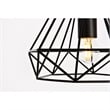 Living District Jago 1-Light Transitional Metal Pendant in Black Finish
