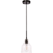 Living District Pierce 1-Light Mid-Century Metal Pendant in Black and Clear